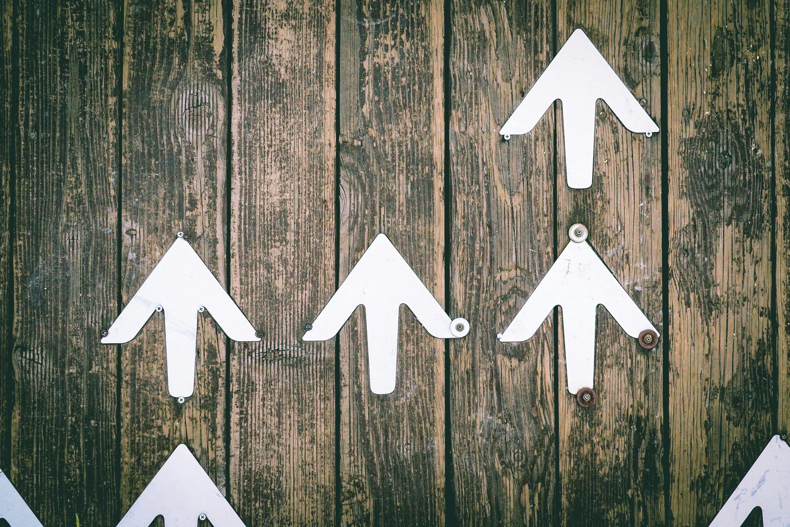 Flowchart illustrating steps to review policy renewal terms effectively
