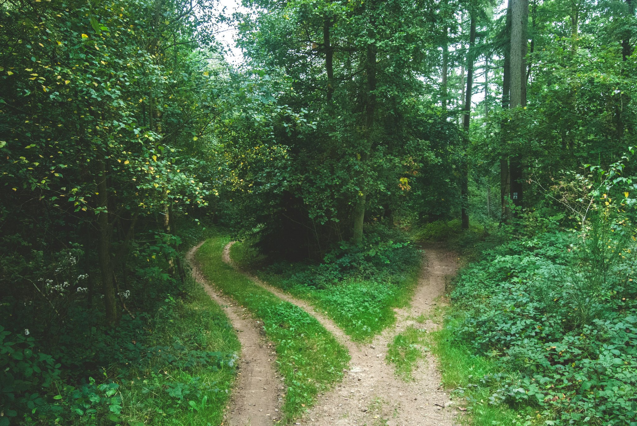 What Are Risk Appetite Frameworks and Why Do They Matter in Political Risk Insurance?